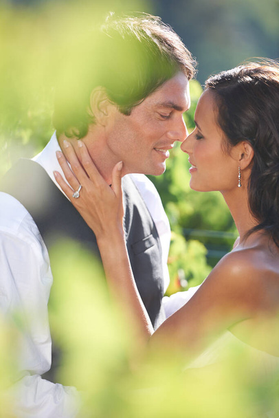 Love between the vines. A bride and groom kissing in a vineyard - Fotoğraf, Görsel