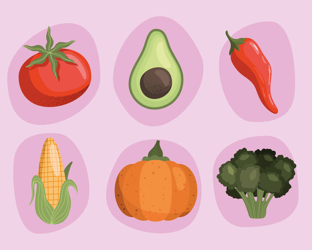 6種類の新鮮な野菜｜健康食品 - ベクター画像