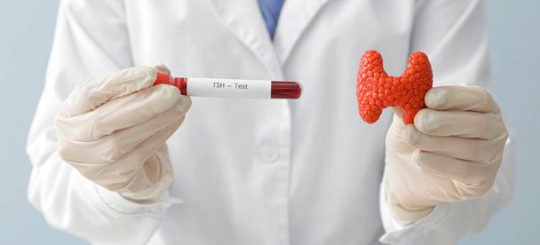 Endocrinologista com modelo de glândula tireóide e amostra de sangue em tubo de ensaio, close-up - Foto, Imagem