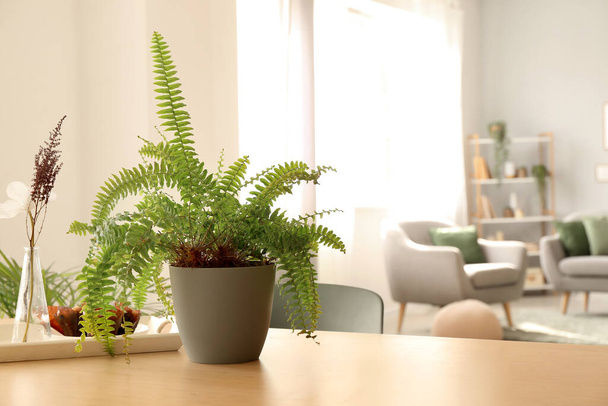 Vase avec fleurs et plantes d'intérieur vertes sur la table dans le salon - Photo, image