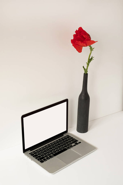 白い壁に対してボトルのエレガントなポピーの花とテーブルの上に空白の画面を持つノートパソコン。コピースペースと審美的な影響力のミニマリストスタイルのオフィスワークスペースのインテリアデザインテンプレート - 写真・画像