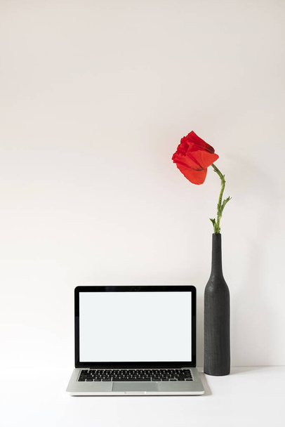 Computador portátil com tela em branco na mesa com flor de papoula elegante em garrafa contra a parede branca. Influenciador estético minimalista estilo escritório espaço de trabalho modelo de design de interiores com espaço de cópia - Foto, Imagem