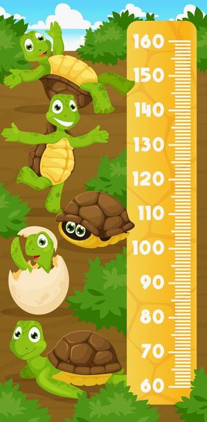 Gyerekek magasságmérője vonalzó rajzfilm teknősök. Vidám teknős állati karakterek. Gyermek növekedésmérő vektor vonalzó vagy gyerekek magasság intézkedés centiméter skála, növekedési diagram vicces teknős személyiségek - Vektor, kép