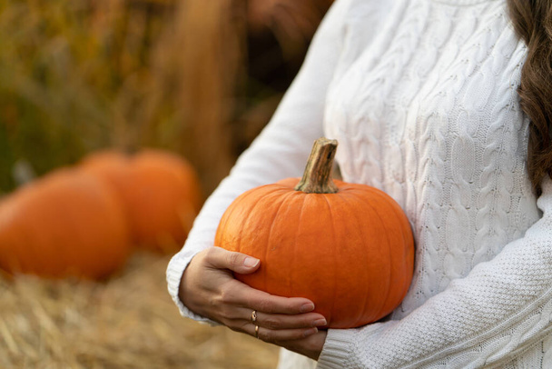 Una mujer en un suéter de punto blanco sostiene una pequeña calabaza naranja para Halloween con sus manos. Cosecha otoñal de verduras. Profundidad superficial del campo, fondo borroso. - Foto, Imagen