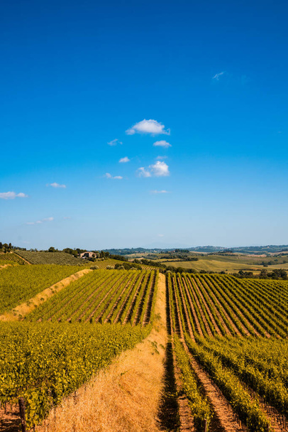 Chianti región, viñedos paisaje en Toscana, Italia - Foto, Imagen
