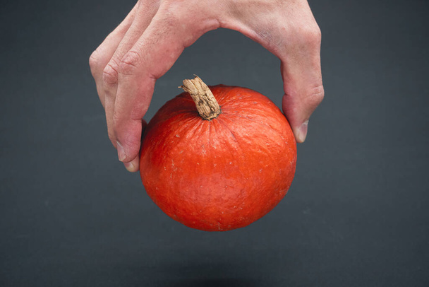 A hand holding a pumpkin on a black background. Pumpkin. Pumpkin close-up. - Photo, Image