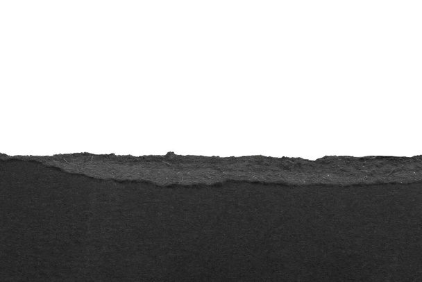 白い背景に隔離された黒い裂けた紙の縁のストリップ - 写真・画像