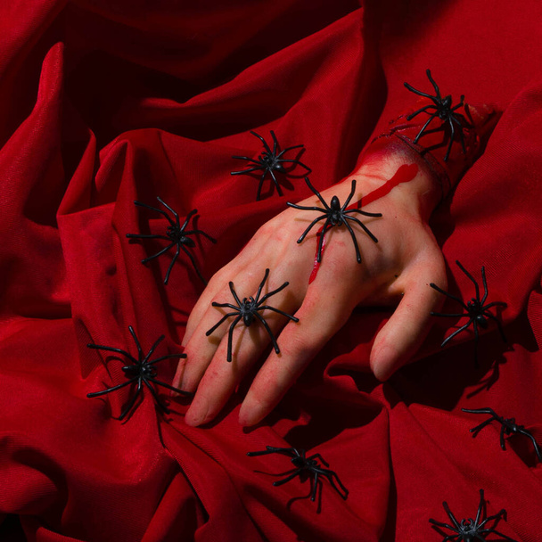Halloween minimal concept with bloody zombie hand and pile of black spiders on red background. - Foto, immagini