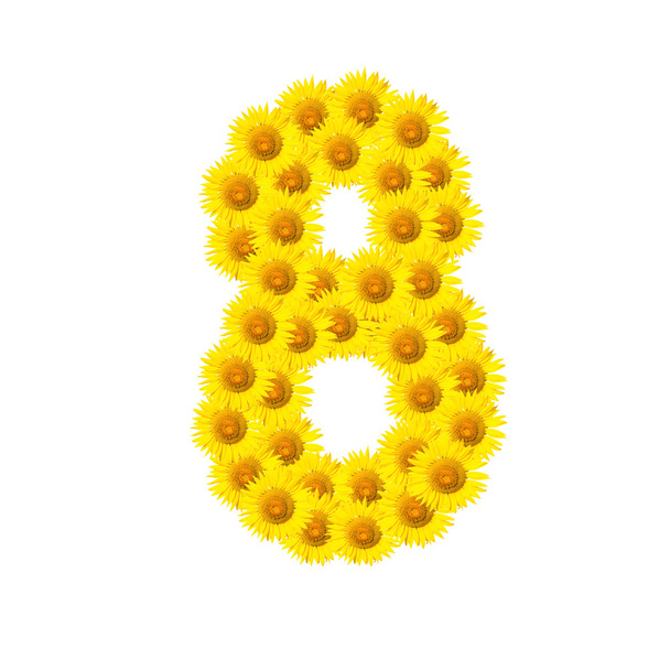 Sunflower alphabet isolated on white - Fotografie, Obrázek
