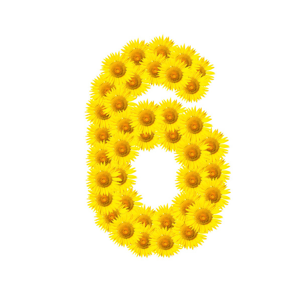 Sunflower alphabet isolated on white - Foto, Imagen