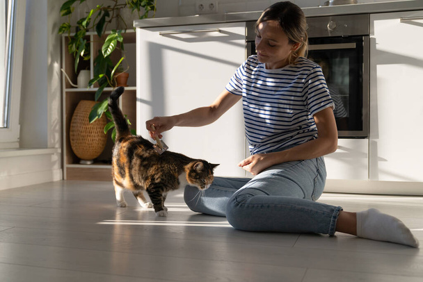 Young woman owner enjoy taking care of beloved cat and combing it sits on floor of own house. Girl in casual t-shirt and jeans spends time with pet in order to calm nerves or get rid of stress - Фото, изображение