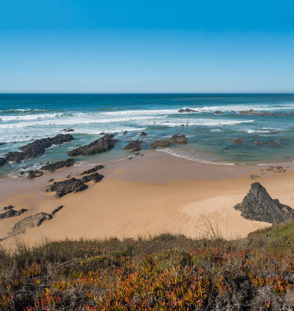 Veduta della spiaggia vuota di Praia dos Picos con onde oceaniche, pietra, sabbia dorata bagnata e vegetazione verde sulla costa selvaggia di Rota Vicentina vicino a Vila Nova de Milfontes, Portogallo - Foto, immagini