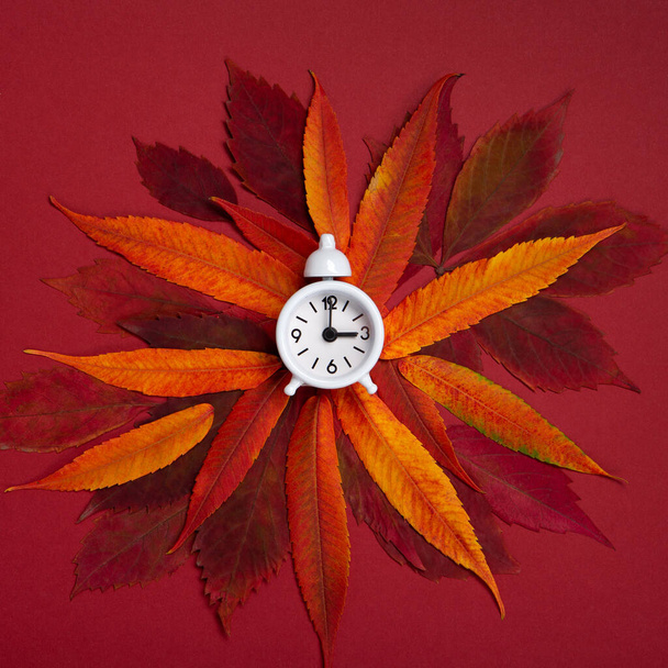 Белый будильник и оранжевые осенние листья на красном фоне. Осеннее время, Осеннее время, Переход на летнее и зимнее время, Переход на зимнее время. - Фото, изображение