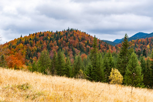 Cordillera de otoño contra el cielo. Hermoso otoño en las montañas. Gran época de otoño. Colorido paisaje otoñal. Paisaje colorido. - Foto, imagen