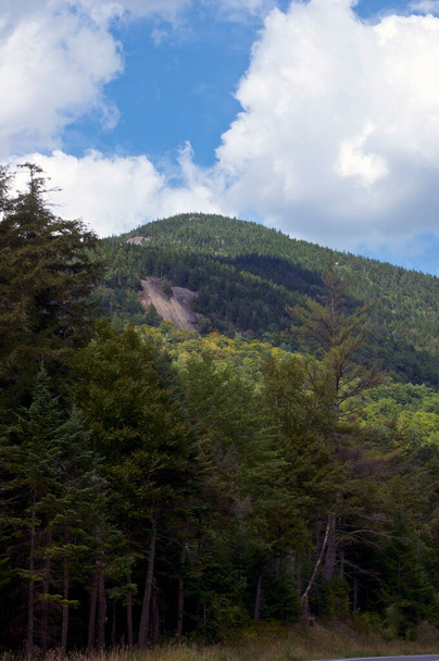 Beautiful vertical scenic view of adirondack mountains in late summer with tall evergreens in the foreground and a cloud filled blue sky. - 写真・画像