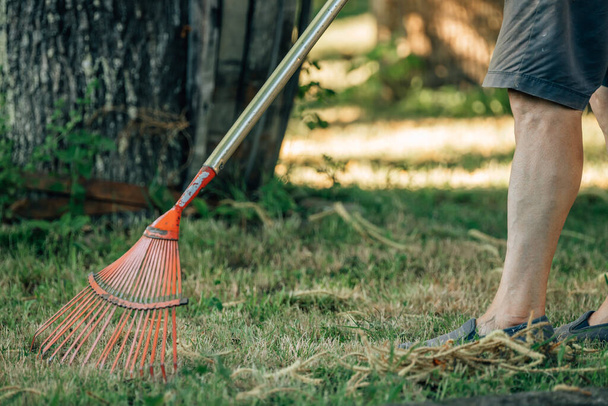 κηπουρός που μαζεύει ή σκουπίζει με τσουγκράνα - Φωτογραφία, εικόνα