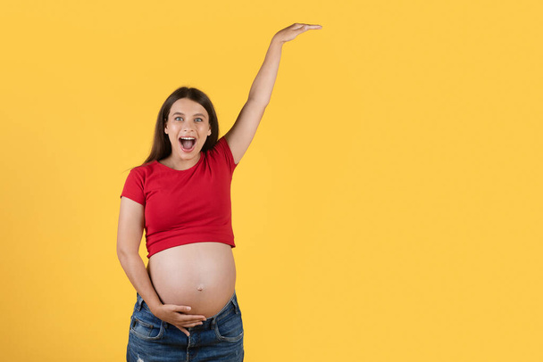 Innoissaan raskaana oleva nainen tilalla käsi ylös, mittaus korkeus näkymätön objekti seistessään eristetty yli keltainen tausta, iloinen odottava nainen koskettaa vatsa ja katsot kamera, kopioi tilaa - Valokuva, kuva