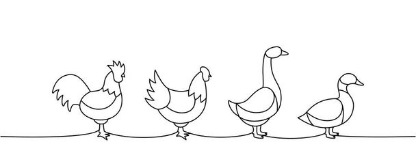 Conjunto de aves de granja de una línea de dibujo continuo. Pollo, gallo, pato, siluetas de ganso. Animales de granja ilustración continua de una línea. Ilustración lineal minimalista vectorial. - Vector, Imagen