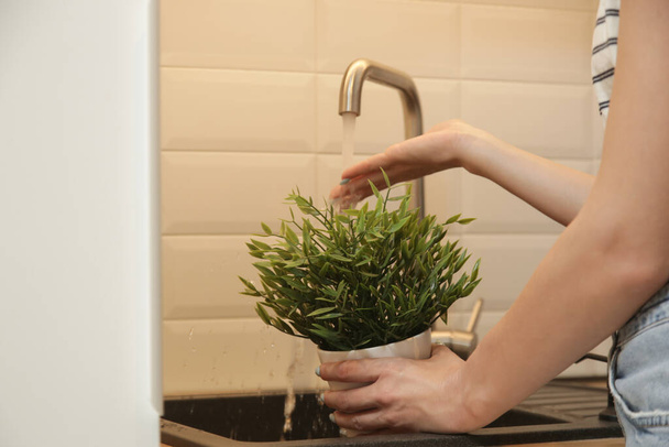 Primo piano di donna che innaffia e lava la sua pianta sotto l'acqua corrente nel lavandino della cucina - Foto, immagini