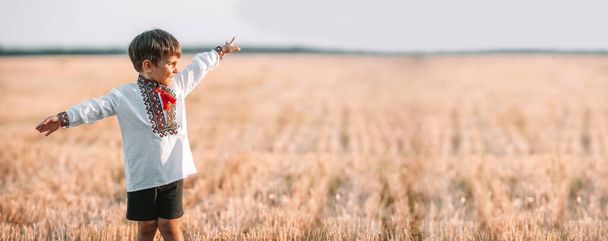 Banner, copy space, happy boy - Ukrainian patriot child with open arms as airplane in field after collection wheat, open area. Ukraine, peace, independence, freedom, win in war. High quality photo - Photo, image
