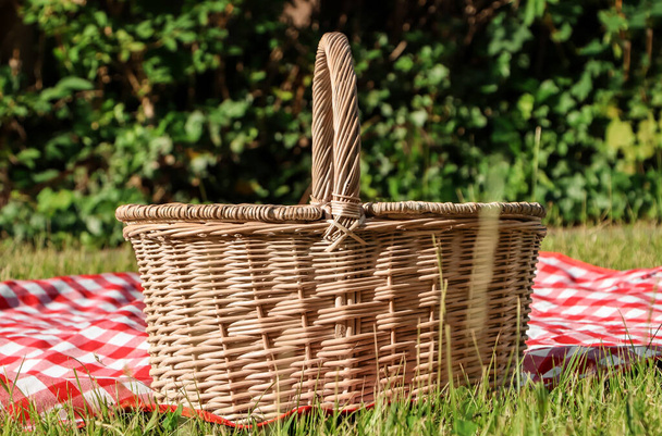 Picnic basket with checkered tablecloth on green grass outdoors - Photo, image