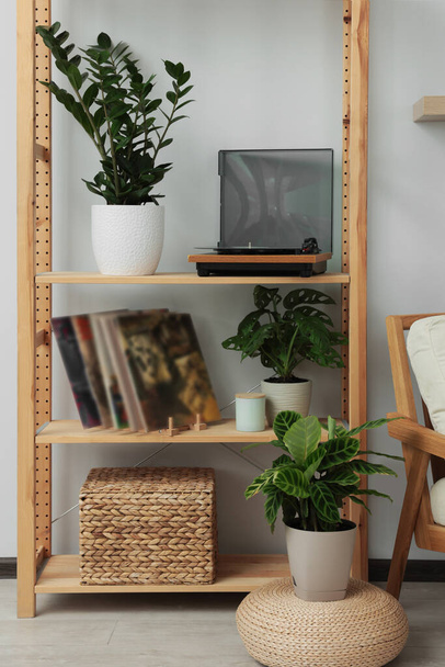 Wooden shelving unit with turntable, vinyl records and beautiful houseplants in room - Fotoğraf, Görsel