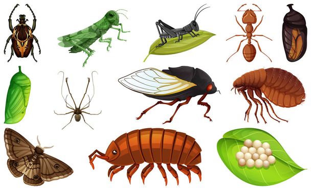 Different kinds of insects collection illustration - Vector, Image
