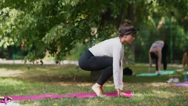 Ryhmä nuoria urheilullinen nainen harjoitellaan jooga oppitunti ohjaaja puistossa - Materiaali, video