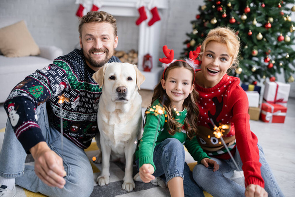 Familia positiva en suéteres sosteniendo bengalas cerca de labrador en casa  - Foto, Imagen