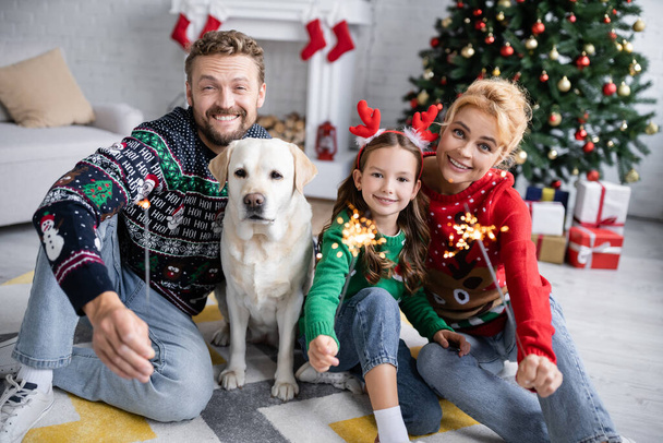Rodina s labradorem drží jiskřičky během oslav nového roku  - Fotografie, Obrázek