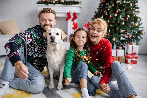 Rodina s labradorem drží rozmazané jiskry během vánoc doma  - Fotografie, Obrázek