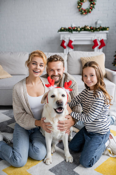 Szczęśliwa rodzina patrząc na aparat w pobliżu zamazanego labradora z opaską świąteczną w salonie  - Zdjęcie, obraz