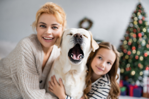 Labrador yawning near blurred mother and girl at home  - Photo, Image