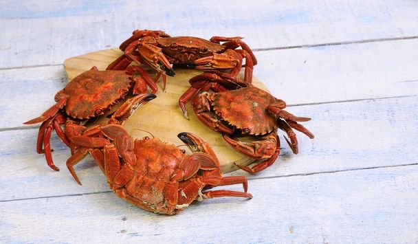 Sea crab. - Photo, Image