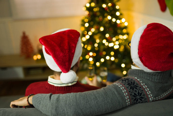 Vista trasera de una feliz pareja gay relajada con sombreros de Santa Claus abrazándose mientras están sentados en el sofá mirando su árbol de navidad en casa - Foto, imagen