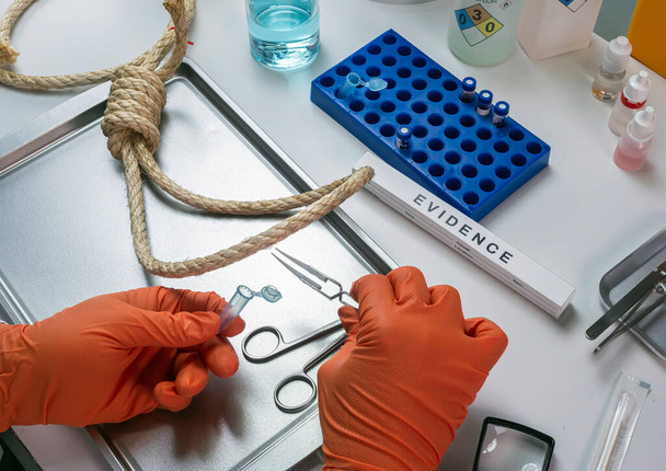Policjant wyciąga próbkę DNA z ciała wiszącej ofiary, analizę kryminalistyczną, obraz konceptualny - Zdjęcie, obraz