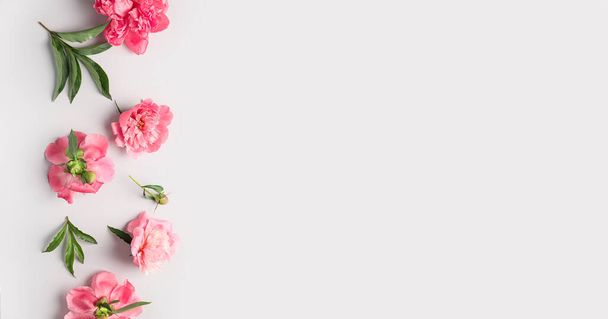 Schöne Pfingstrosenblumen auf hellem Hintergrund mit Platz für Text, Draufsicht - Foto, Bild