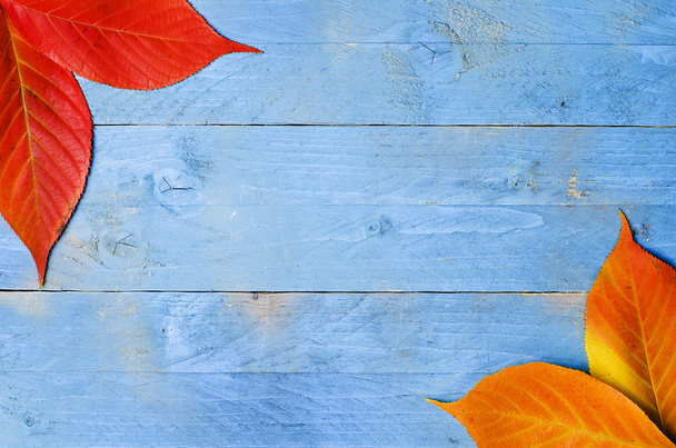 Colour leafs on blue wooden background - Fotó, kép