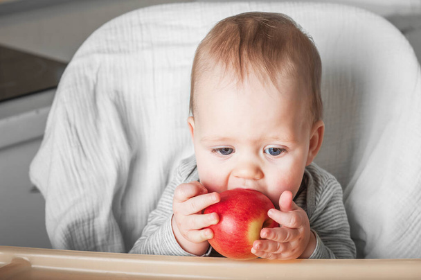 11 miesięczne dziecko z jabłkiem na wysokim krześle. Jedzenie dla niemowląt, karma przezroczysta, odstawianie dziecka, BLW - Zdjęcie, obraz