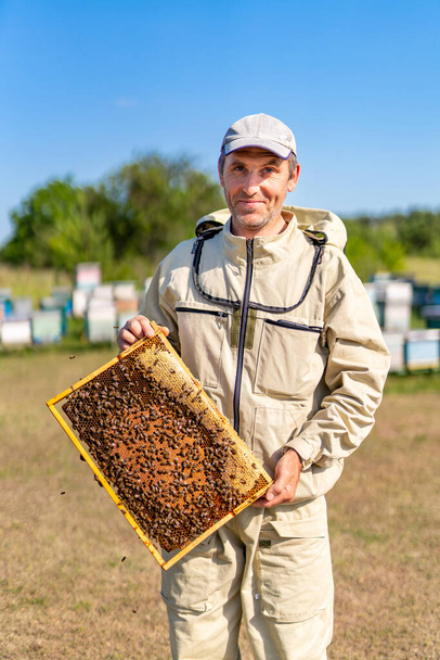 Beekeeper holding a wooden frame with honey. Holding a honey cell with bees. - Фото, изображение