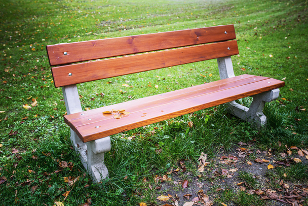 Wooden bench in autumn - Photo, Image