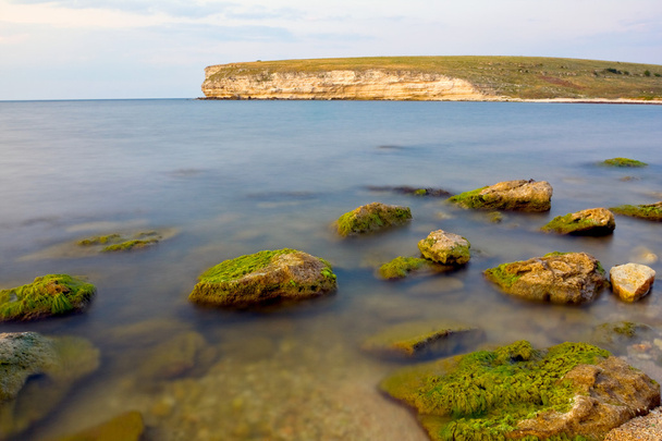 Vihreät kivet merivedessä
 - Valokuva, kuva