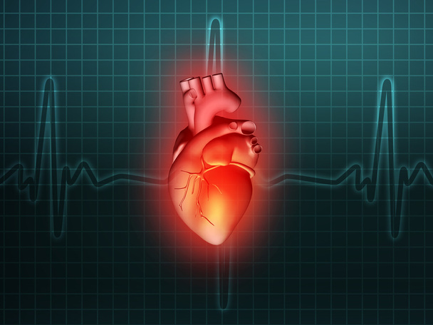 heart disease 3d anatomy illustration turquoise - Photo, Image