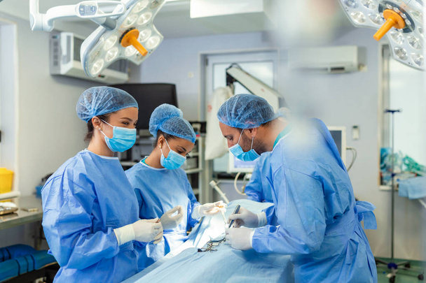 Συμπυκνωμένο χειρουργική ομάδα λειτουργία ενός ασθενή σε ένα θέατρο λειτουργία. Άρτια εκπαιδευμένο αναισθησιολόγος με χρόνια εκπαίδευση με σύνθετες μηχανές ακολουθεί ο ασθενής κατά τη διάρκεια της χειρουργικής επέμβασης. - Φωτογραφία, εικόνα