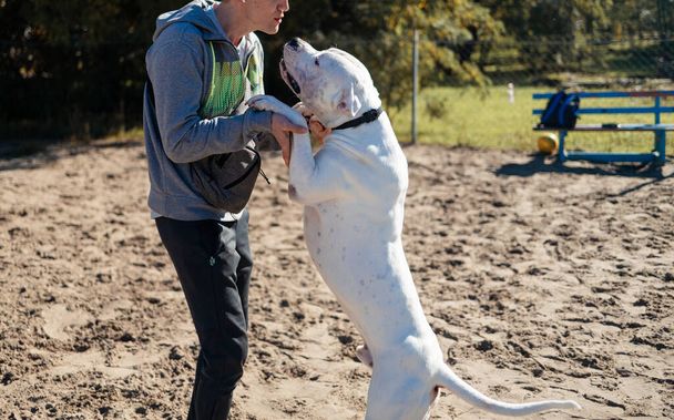 Ένας εκπαιδευτής σκύλων στο πάρκο. Ο τύπος γρατζουνάει το λαιμό του σκύλου και του μιλάει.. - Φωτογραφία, εικόνα