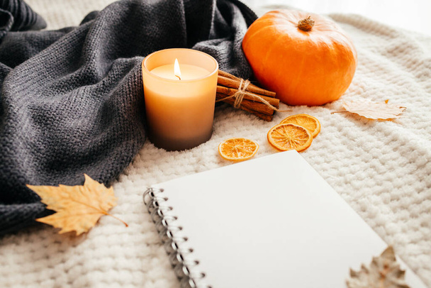 Cozy autumn atmospheric composition. Sveti, a pumpkin, hot tea and an open notepad on a beige plaid next to a knitted sweater. - Photo, Image