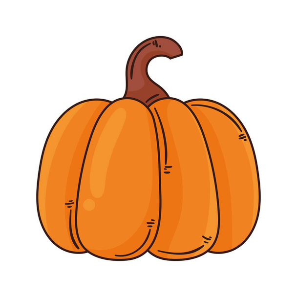 ikona dýně zelenina podzimní období - Vektor, obrázek