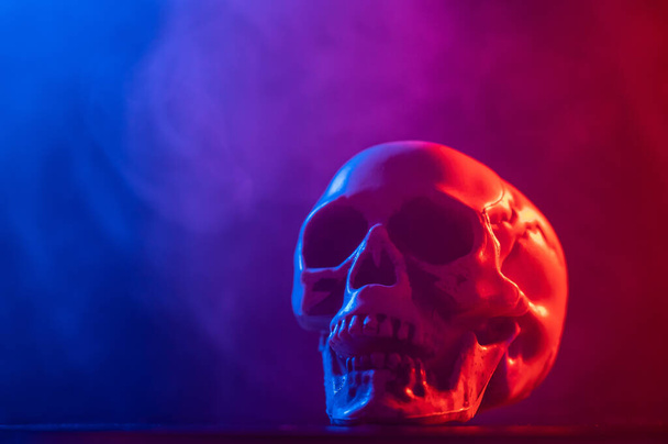 Human skull in pink and blue smoke on a black background. Halloween - Photo, image
