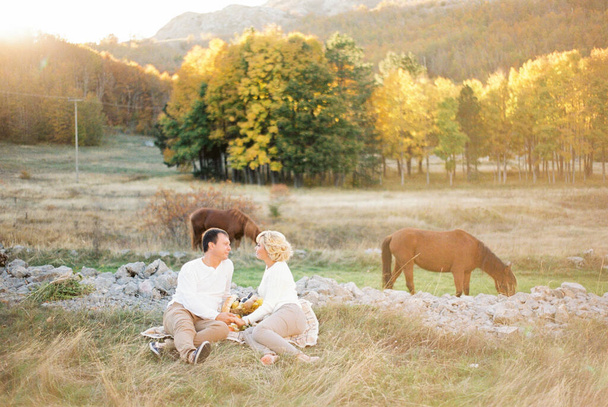 Άνδρας και γυναίκα κάθονται σε μια κουβέρτα σε ένα γκαζόν κοντά σε άλογα βοσκής. Υψηλής ποιότητας φωτογραφία - Φωτογραφία, εικόνα