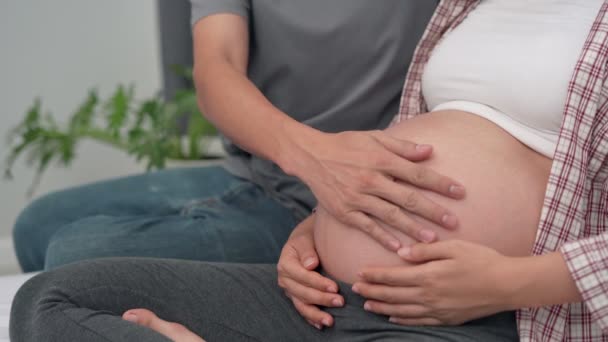 Apa a kezét használja, hogy megérintse a terhes nőt. A férj és a feleség kézfogással tapintják meg a babát. Családi szerelem fogalma. - Felvétel, videó